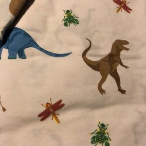 Dinosaur sheets